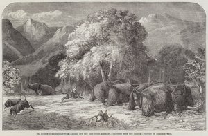 Conférence de M. Gordon Cumming, chevauchant le meilleur éléphant d